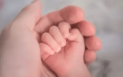 Iglesia de México totalmente en contra de aprobación del aborto. «Dejamos la puerta abierta a un genocidio.»