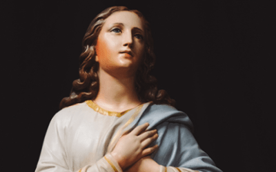 La celebración del Dulce nombre de María y su importantísima reflexión.