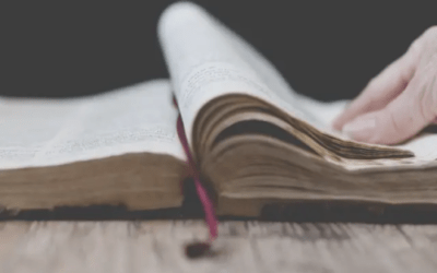 ¡Católicos y la biblia, una relación de fidelidad y creencias!